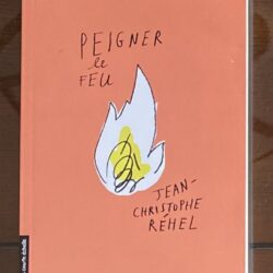 Livre_Peigner le feu