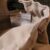 Screenshot_20250829_202700_Gallery